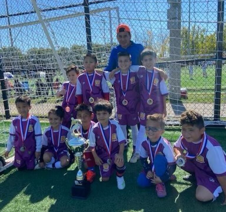 Soccer Field image 3