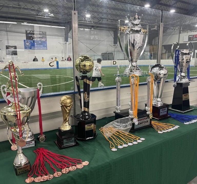 Soccer Field image 2