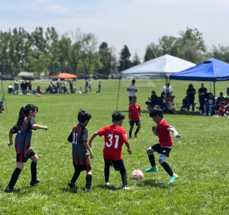 Soccer Field image 3