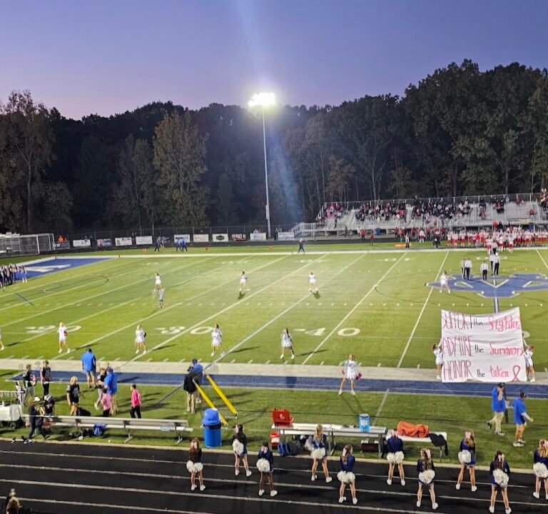 Soccer Field image 2