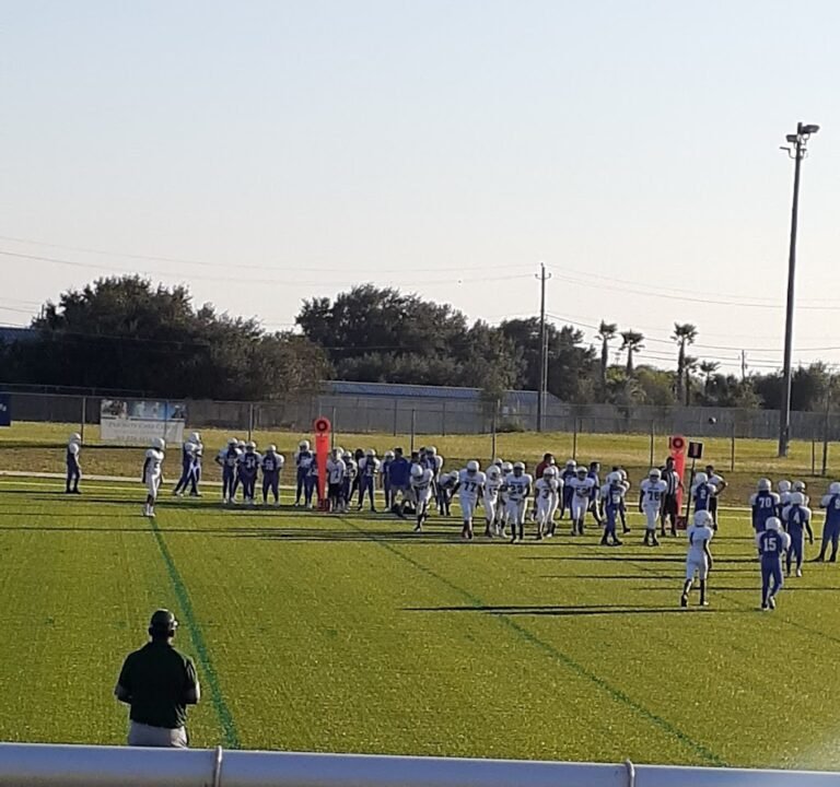 Soccer Field image 2