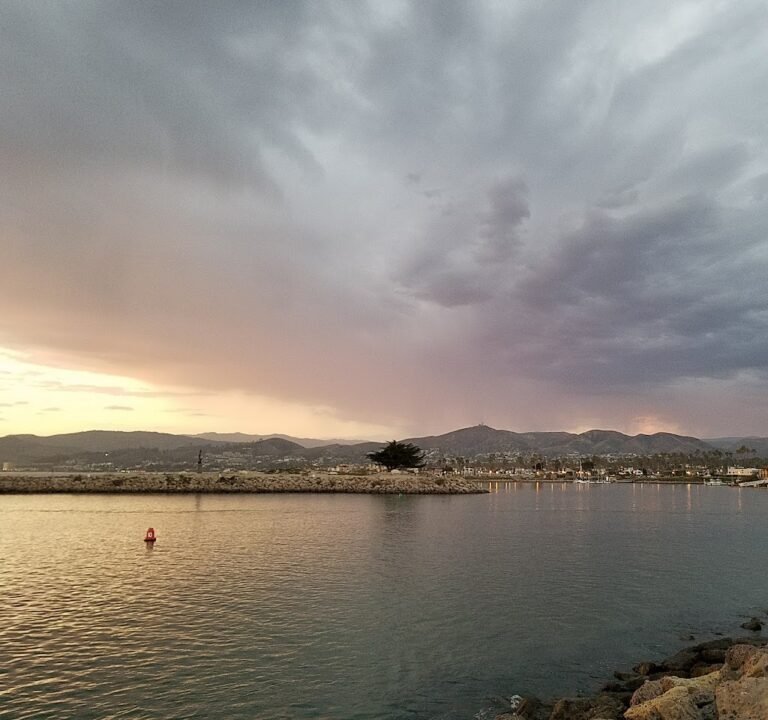 Soccer Field image 3