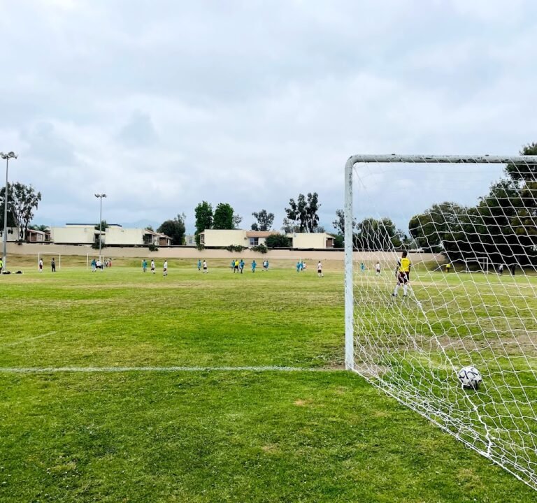Soccer Field image 2