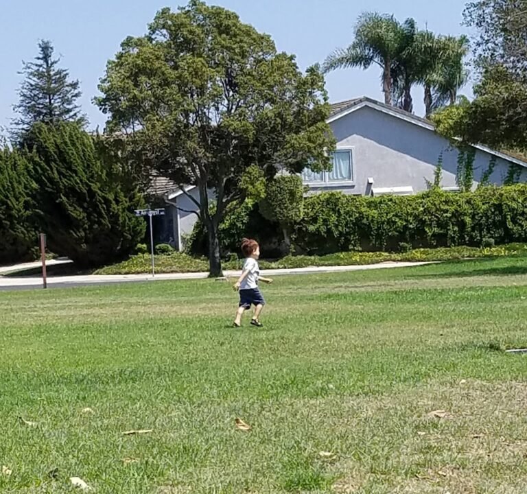 Soccer Field image 2