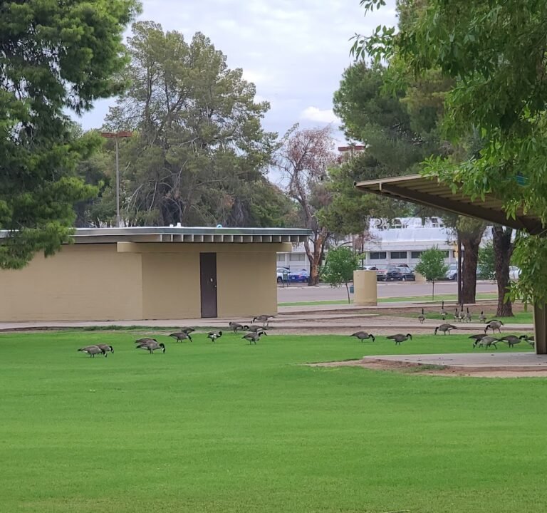 Soccer Field image 2