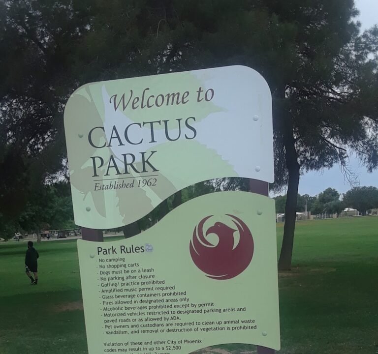 Soccer Field image 3