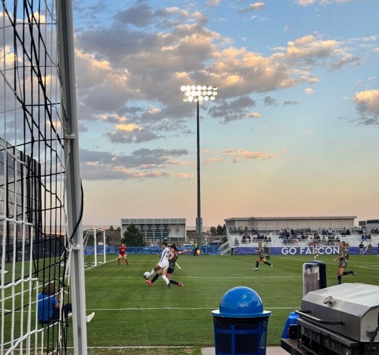Soccer Field image 2