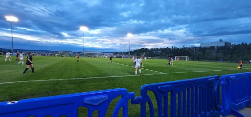 Soccer Field image 1