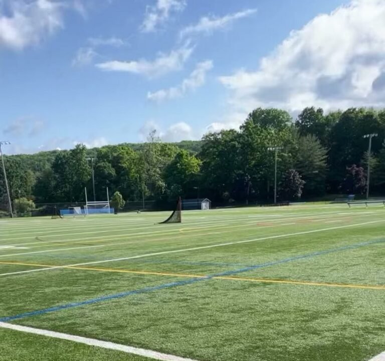 Soccer Field image 3