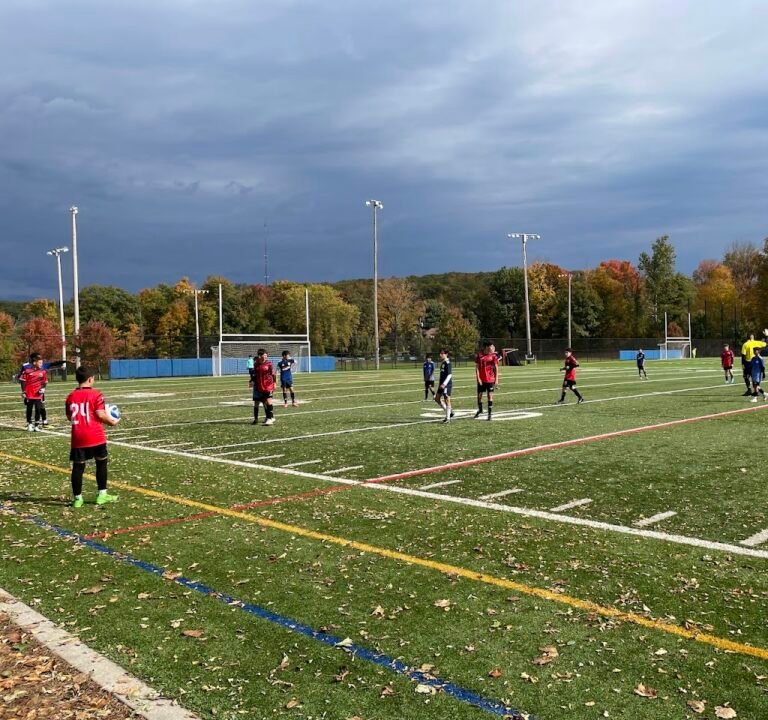 Soccer Field image 2