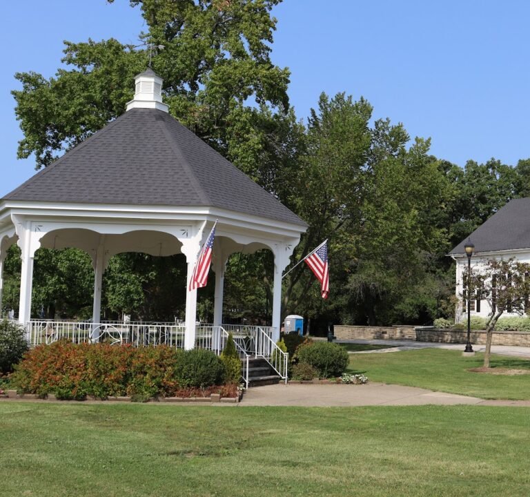Soccer Field image 2