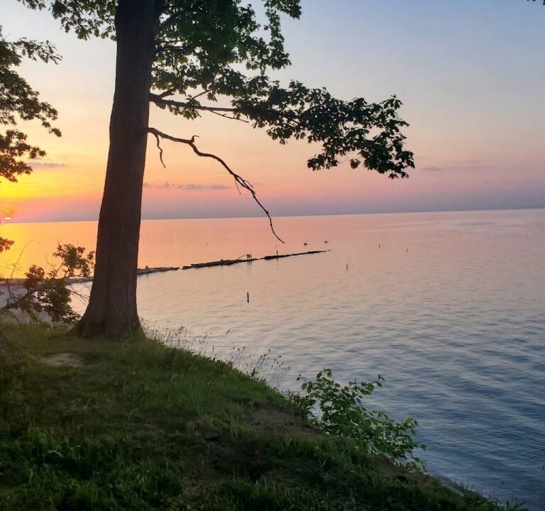Soccer Field image 3