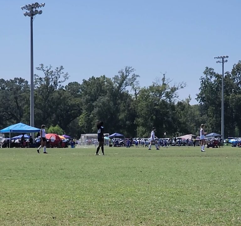 Soccer Field image 3