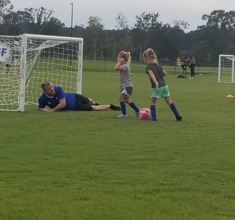 Soccer Field image 2