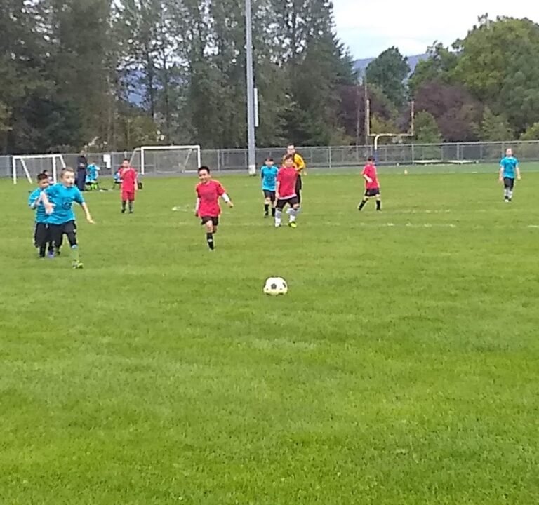 Soccer Field image 3