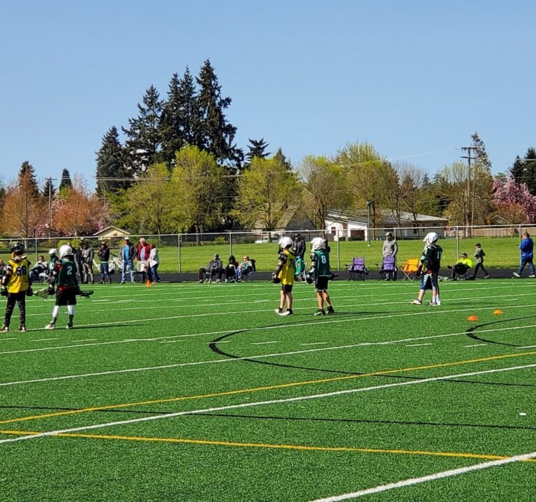 Soccer Field image 2