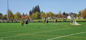 Soccer Field image 1