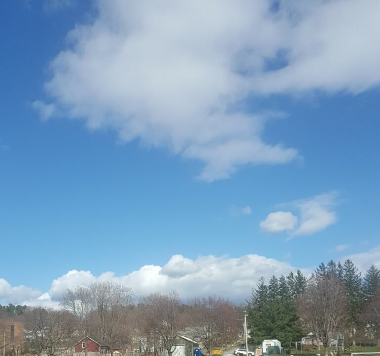 Soccer Field image 2