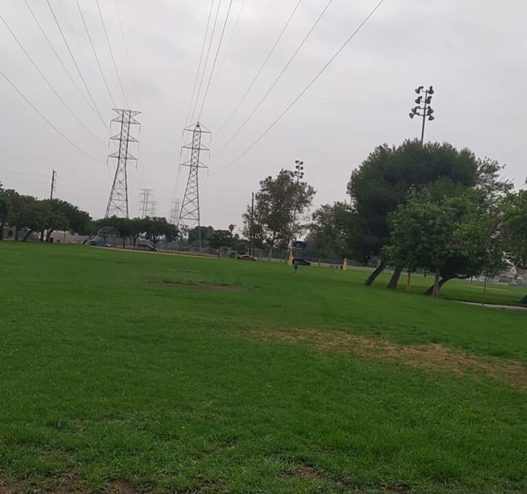 Soccer Field image 4