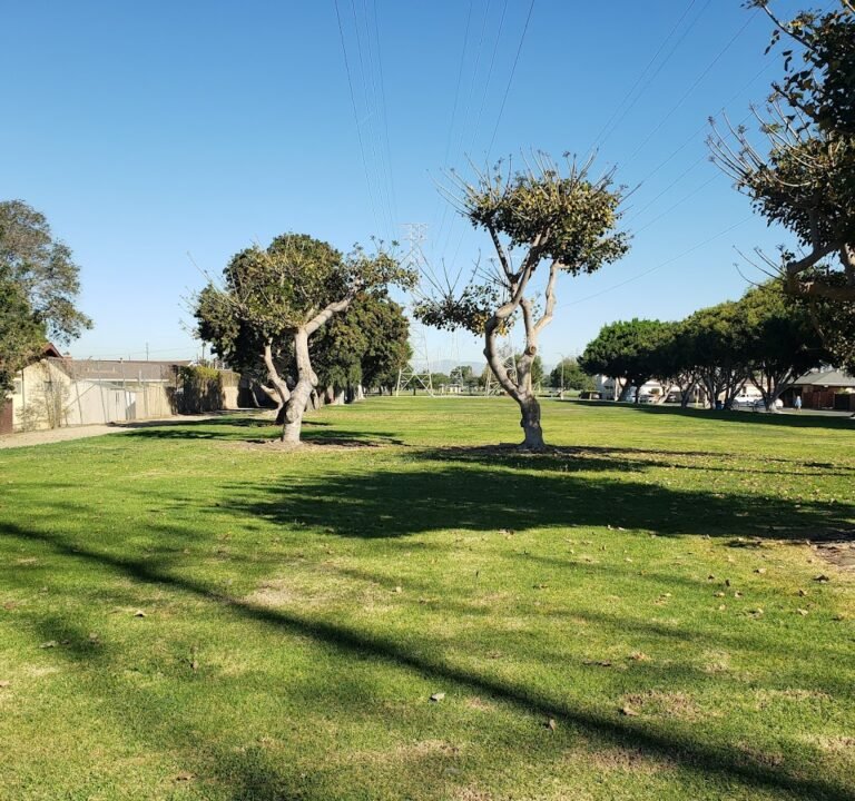 Soccer Field image 2