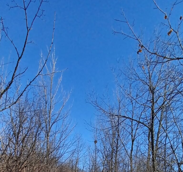 Soccer Field image 3