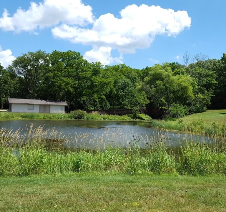 Soccer Field image 2