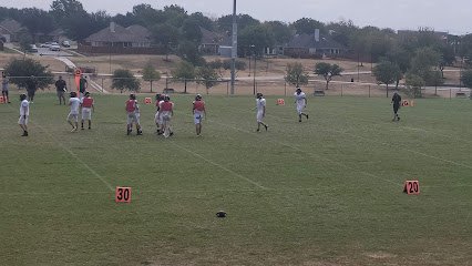 Soccer Field image 1