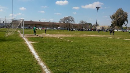 Soccer Field image 1