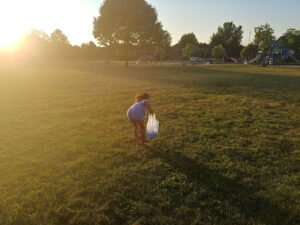 Soccer Field image 1