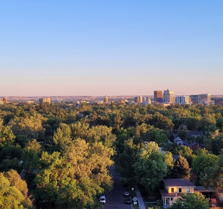 Soccer Field image 2