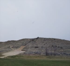 Soccer Field image 3