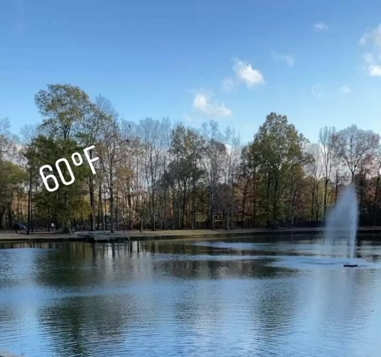 Soccer Field image 3