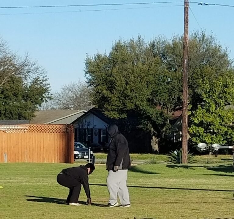 Soccer Field image 2