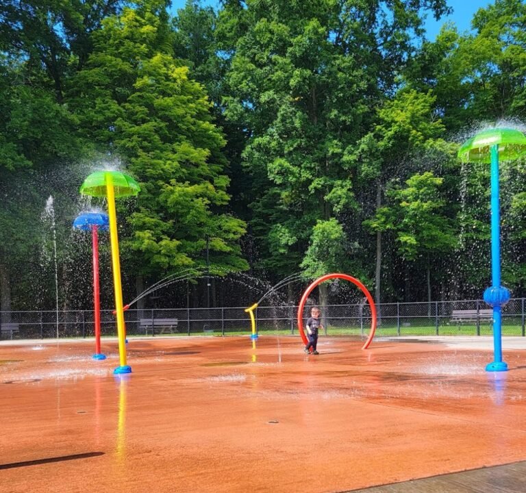 Soccer Field image 2