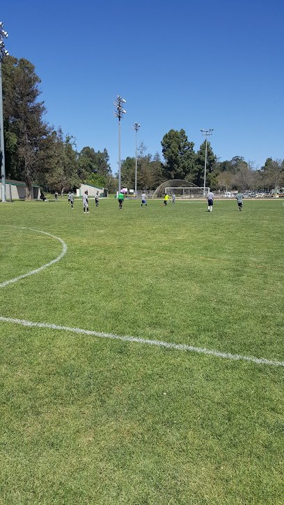 Soccer Field image 1