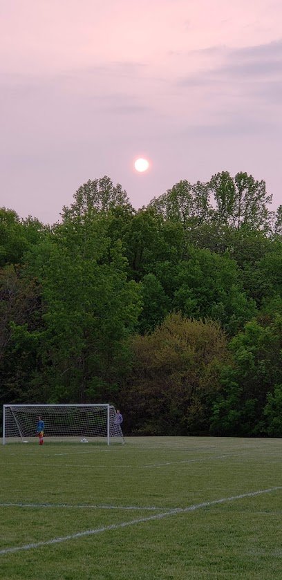 Soccer Field image 1