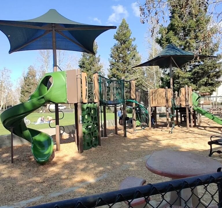 Soccer Field image 4