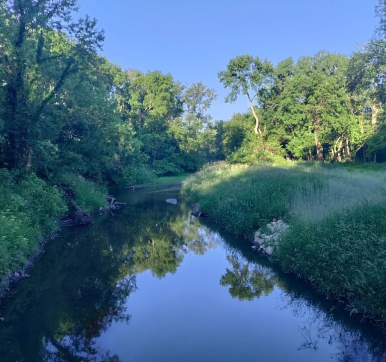 Soccer Field image 2