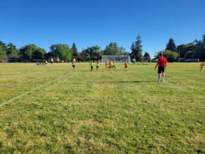 Soccer Field image 1