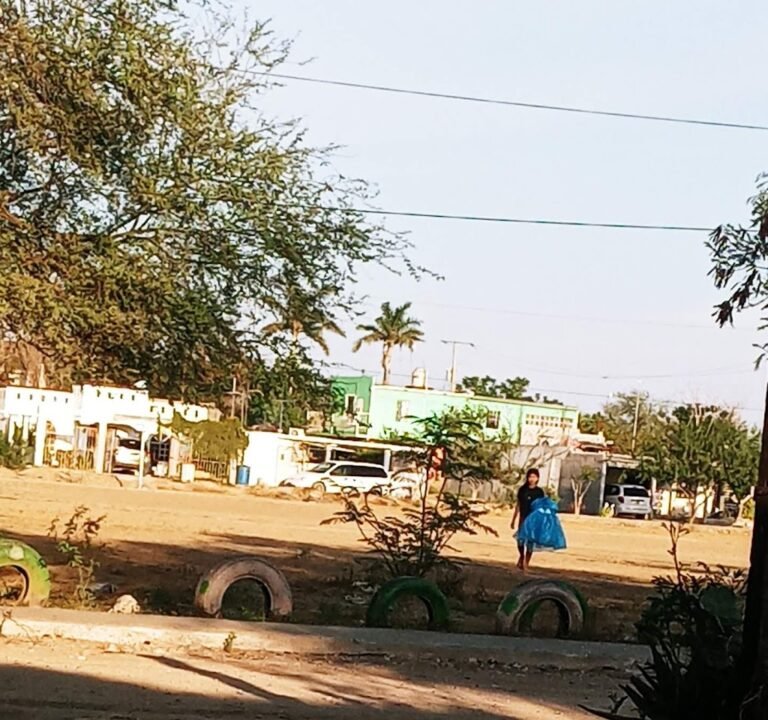 Soccer Field image 2