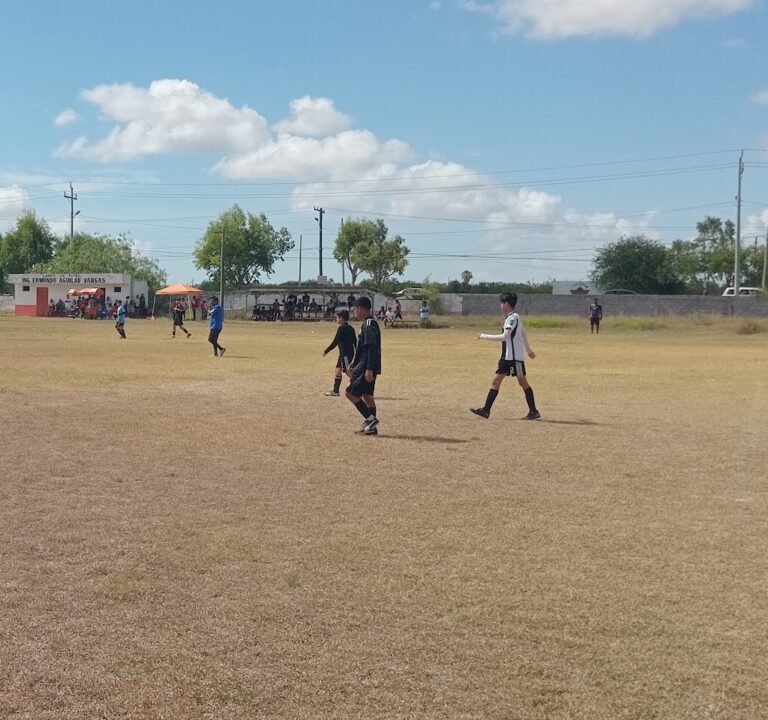 Soccer Field image 3