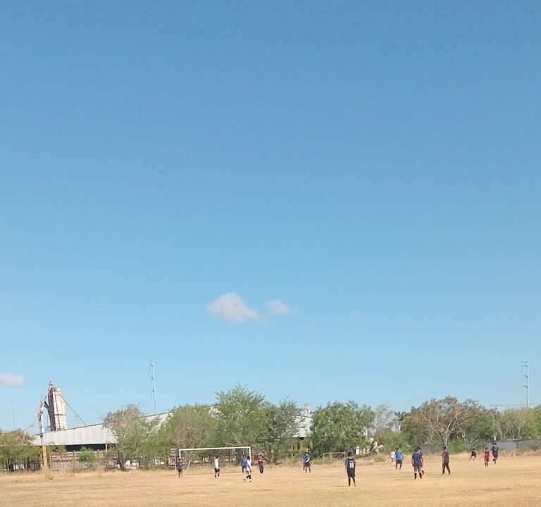 Soccer Field image 2