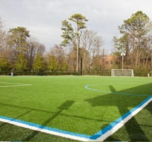 Soccer Field image 3