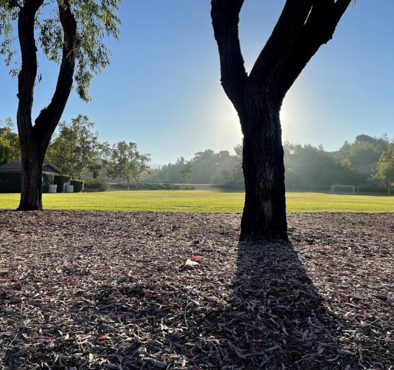 Soccer Field image 2