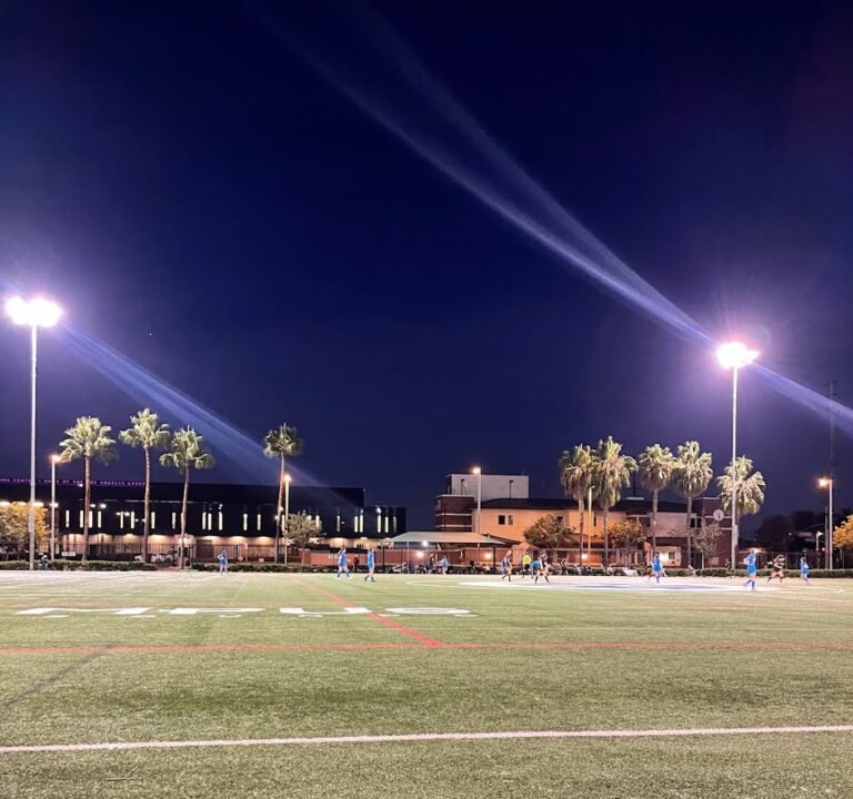 Soccer Field image 2