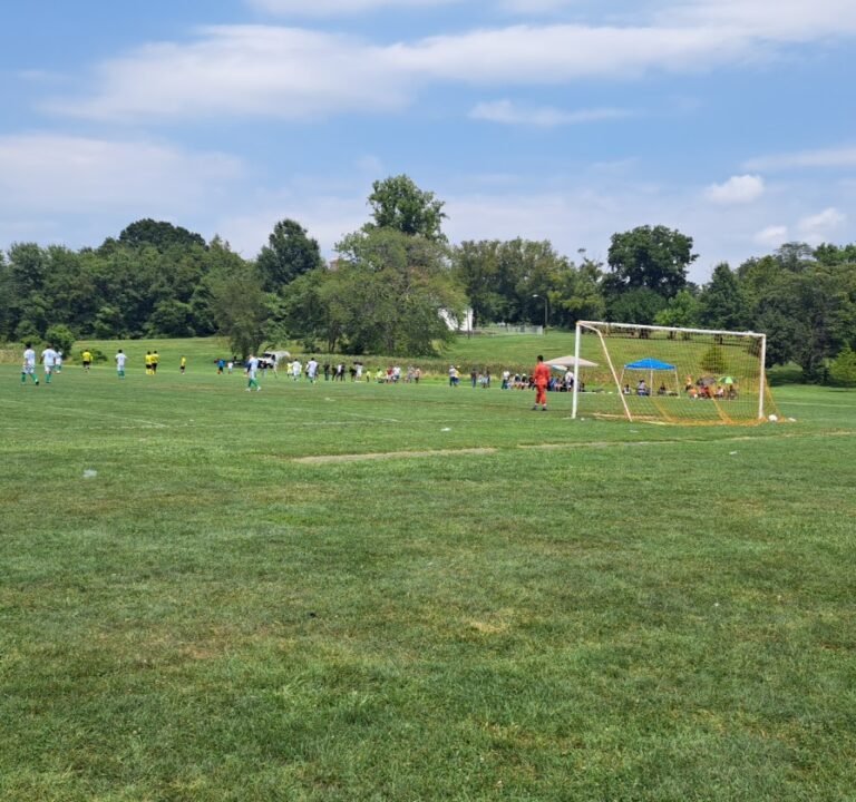 Soccer Field image 3