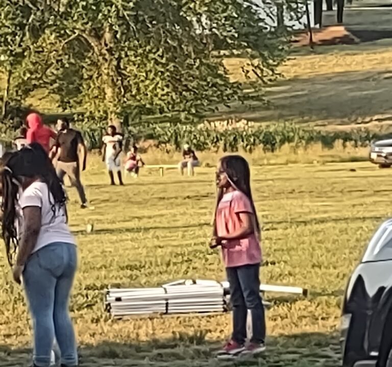 Soccer Field image 2