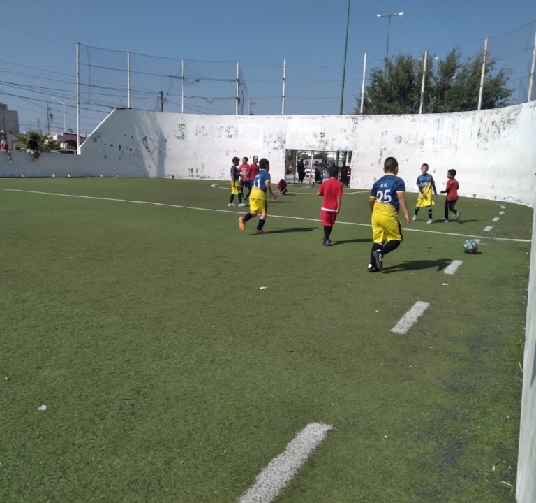 Soccer Field image 3