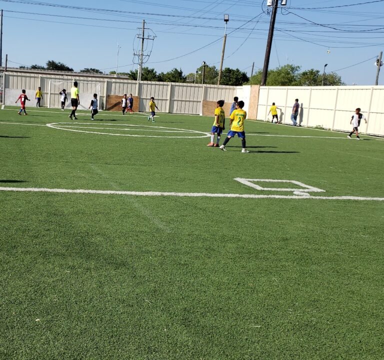 Soccer Field image 3