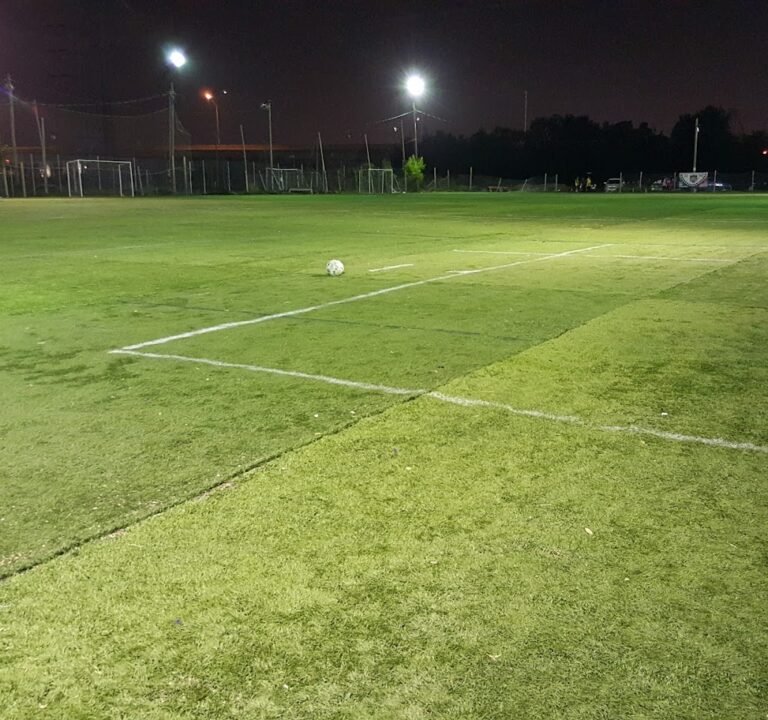 Soccer Field image 2